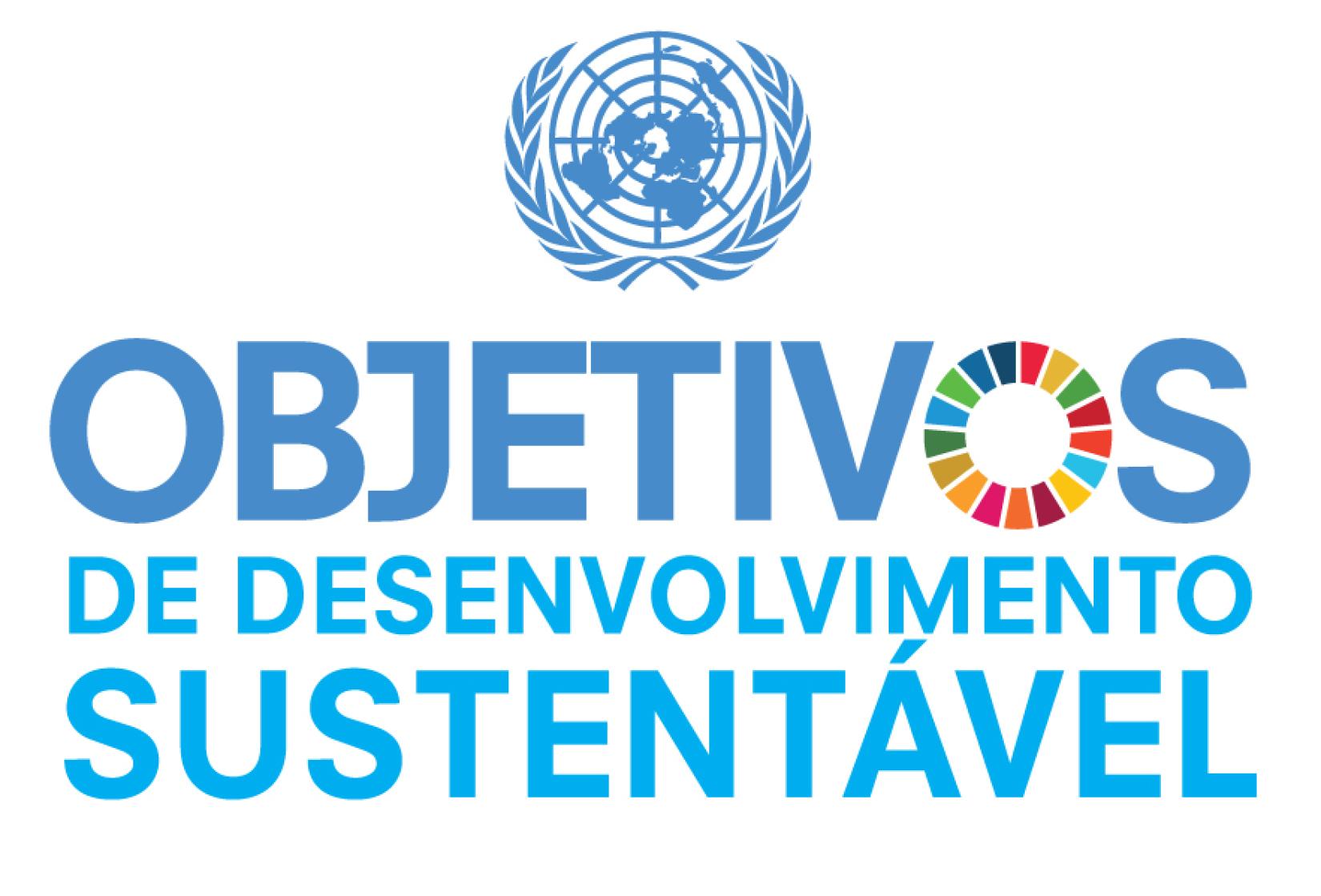 SDG Logo
